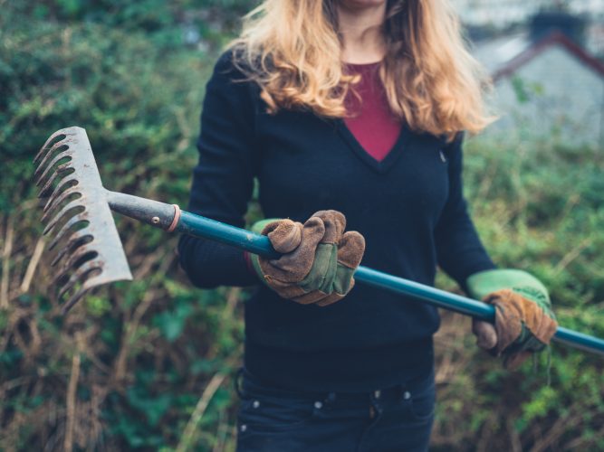 Garden Variety How to winterize your garden tools and equipment News